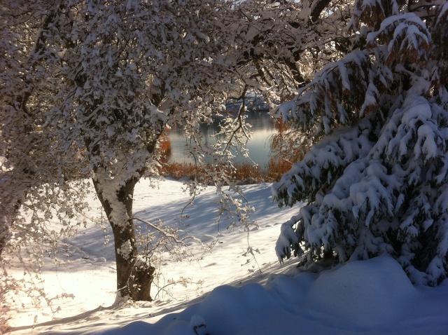 Snow @ Ranch Dec 2013 (3).JPG